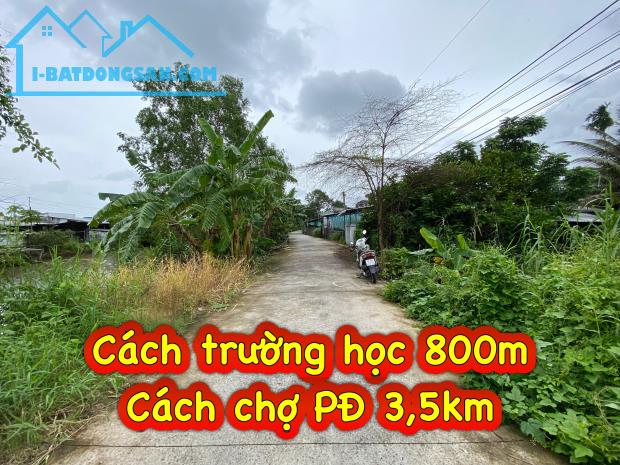 #249 || Đất Công 1487m2 Lộ Ô Tô, Mương Ngang, Nhơn Ái, Phong Điền. - 1