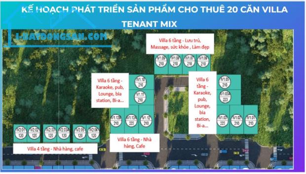 HOT! HOT! CHÍNH CHỦ BÁN GẤP ĐẤT PHÂN LÔ BIỆT THỰ  MẶT TIỀN - VỊ TRÍ ĐẸP - TIỀM NĂNG SINH - 3