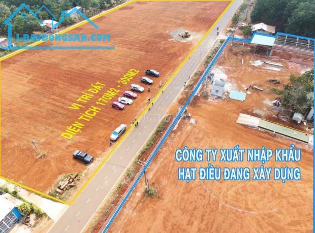 Đất nền giá rẻ Bình Phước chỉ 168tr sở hữu ngay 175m2 đất tặng ngay 2 chỉ vàng cho khách - 2