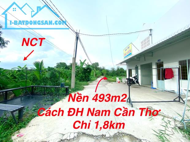 #246 || Nền Đẹp 493m2 Có 300 Thổ Cư, Kế Chợ Mỹ Khánh, Gần ĐH Nam Cần Thơ. - 1