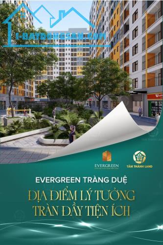 Dự án Evergreen Tràng Duệ có vị trí nằm tại trung tâm khu đô thị KĐT Seoul Ecohome Tràng - 2