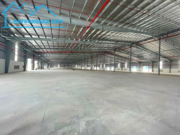 [LA62P1B-12] CHUYỂN NHƯỢNG KHO XƯỞNG ĐỨC HOÀ, TỈNH LONG AN 42.000M2