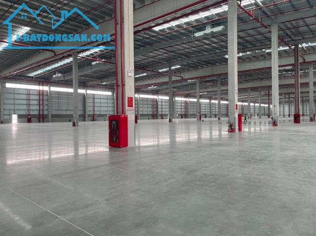 Cho thuê nhà xưởng 12.000m2 Khu CN Yên Phong – Bắc Ninh, PCCC tự động - 2