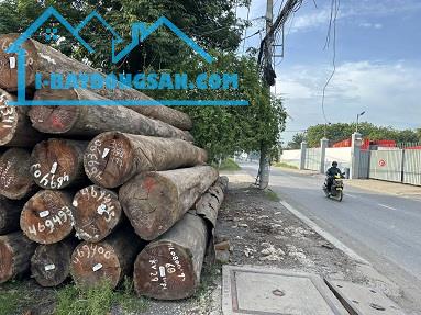 Gỗ cam xe (WpL) cưa qui cách khuôn bao , đố cửa, ván trám , Tây than 6 vuông ,7 vuông - 3