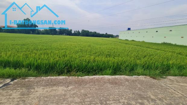 Bán đất 14x47 (658m2) xã Hòa Khánh Tây, Đức Hòa, Long An giá 2.85 tỷ, thổ cư 100%, SHR - 2