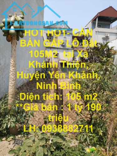 HOT HOT- CẦN BÁN GẤP LÔ Đất 105M2  tại Xã Khánh Thiện, Huyện Yên Khánh, Ninh Bình - 3