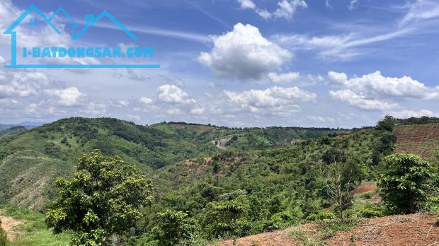 Đất view đồi săn mây giá 1 tỷ 682 triêu (6.5 hecta ) Đắk Ha Đắk Glong tỉnh Đắk Nông - 2