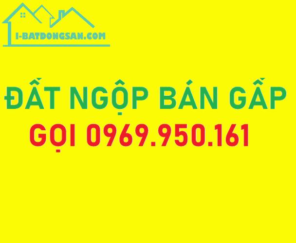 [ĐẤT NGỘP] Ngay mặt tiền Quốc Lộ vào đất 2.600m2, SHR, sát bên chợ BÁN NGỘP - 3