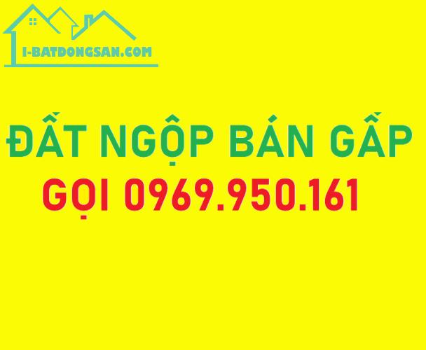 CẦN BÁN LẠI 1.250M2 GIÁ NGỘP NH, ĐẤT THỔ CƯ CHÍNH CHỦ CẠNH KCN DÂN CƯ ĐÔNG - 3