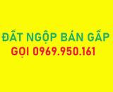 [ĐẤT NGỘP] Ngay mặt tiền Quốc Lộ vào đất 2.600m2, SHR, sát bên chợ BÁN NGỘP