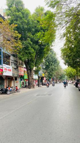 Siêu phẩm mặt phố Ngọc Lâm, Thông số Vàng, Kinh doanh Sầm Uất. DT122m2, mặt tiền 7m. - 3