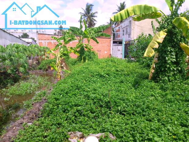 Đất Thạnh Lộc 56 Q12, 216m2, 11x20m, Đ.2.5m chỉ 5.x tỷ - 3