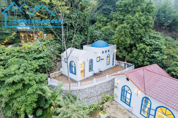 Chính Chủ Cần Bán Homestay Ba Vì 5700m² Dòng Tiền 4 tỷ/năm nhỉnh 16 tỷ - 1