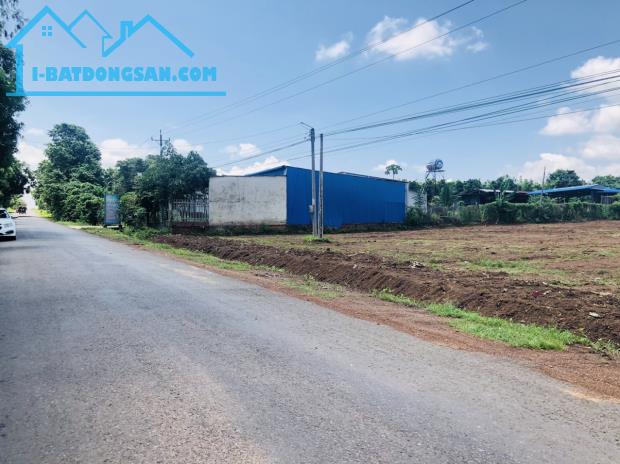 CHÍNH CHỦ SANG LỖ 3600M2 ĐẤT SHR MT TỈNH LỘ CẠNH KCN CHỢ, ỦY BAN  DÂN ĐÔNG GIÁ 290 TRIỆU