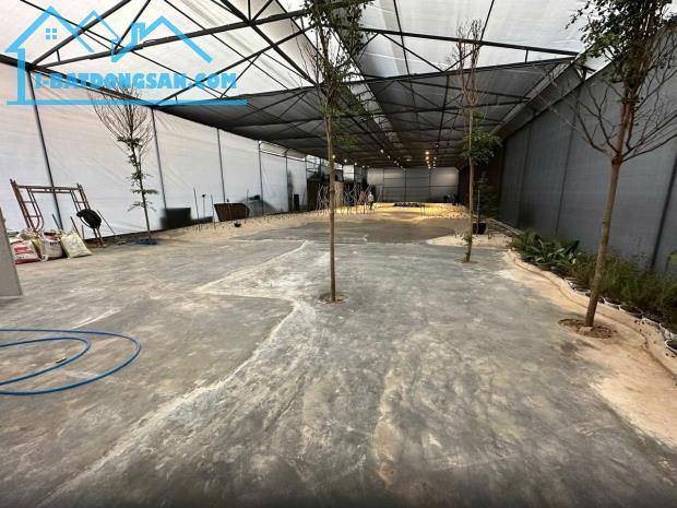 CHO THUÊ MẶT BẰNG KHO XƯỞNG 700M2 HÀN THUYÊN, 30TR, LH 0888-113-882 - 2