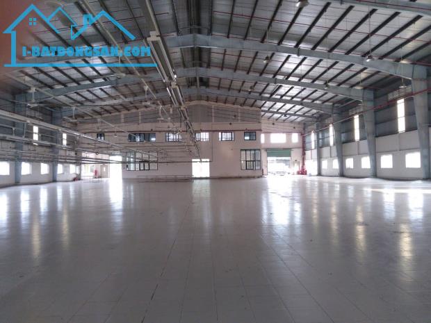 cho thuê kho xưởng 8000m2 thi trấn cần giuộc .long an - 2