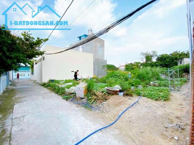 Bán Lô Đất Ngang 8M P.Tân Phong ngay Cư Xá Phúc Hải cách đường Hồ Hoà vô 150M - 3