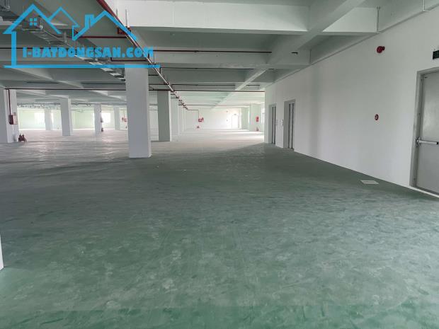 BÁN KHO XƯỞNG SẢN XUẤT – KHU ĐƯỜNG  NGÔ QUYỀN - 3.200M2 - 25 TỶ - SƠN TRÀ - KCN THỌ QUANG - 2