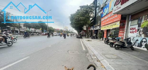 Giải Phóng 121 m2, mt 5, phân lô, kinh doanh, 20 tỷ - 3