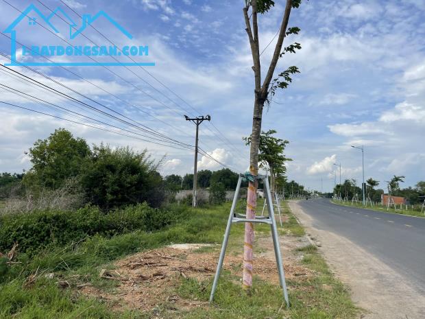 Bán 1445m2 đất full thổ cư Hùng Vương - Tân Bình - TX LaGi cách Biển 500m - 4