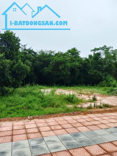 Siêu hót đất Lương Sơn, Hòa Bình 1000m2, giá 15 tỷ - 4