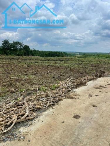 ĐẤT ĐẸP - ĐẦU TƯ SINH LỜI - Chính Chủ Cần Bán Nhanh Lô Đất Xã Sông Ray, Cẩm Mỹ, Đồng Nai - 4