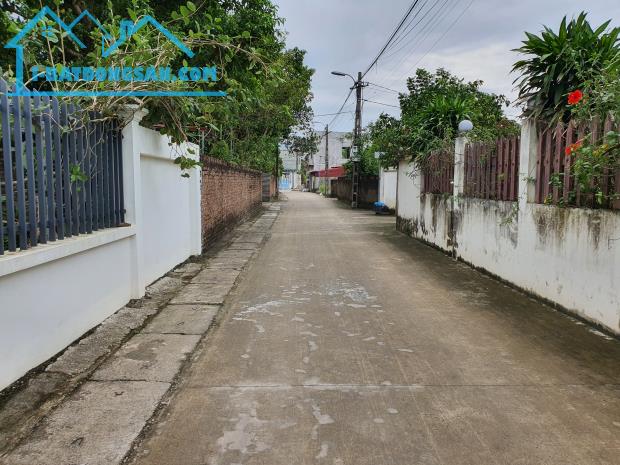 Bán đất Tân Minh Sóc Sơn 100m² giá nhỉnh tỷ - 2