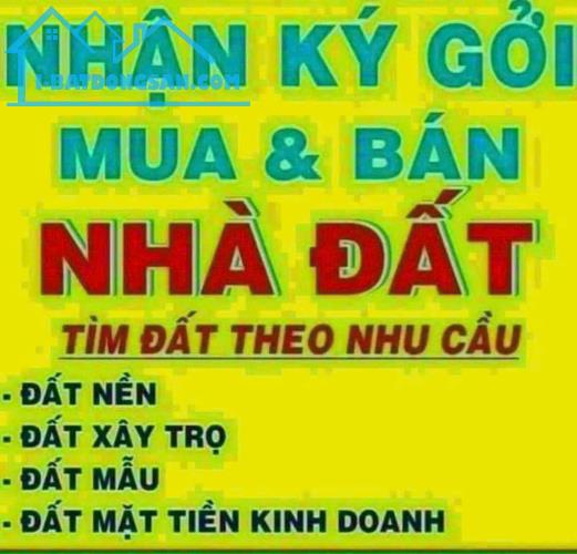 **CẦN TÌM NHÀ ĐẦU TƯ KẾT HỢP - BÁN LÔ THỔ CƯ Ở XÃ TAM THANH - PHÚ QUÝ - BÌNH THUẬN** - 3