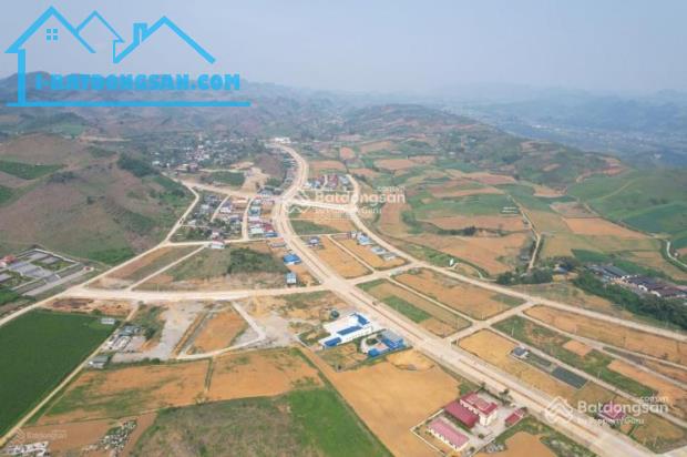 Bán đất Vân Hồ, Mộc Châu view hồ, lưng tựa đồi chè 944m chỉ 4 tỷ - 3