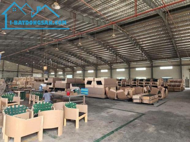 Cho thuê 3500m2,Xưởng An Điền Bến Cát, PCCC tự động, SX đa nghành nghề - 4