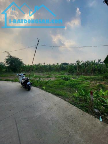 070🌋🌋BÁN NỀN THỔ CƯ RẠCH NGÃ BÁT. ĐƯỜNG VƯỜN MẬN GẦN BỆNH VIỆN NHI ĐỒNG, ĐH NAM CT, ĐH - 4