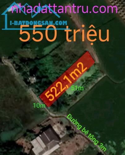 Bán gấp lô đất cây lâu năm giá 550 triệu