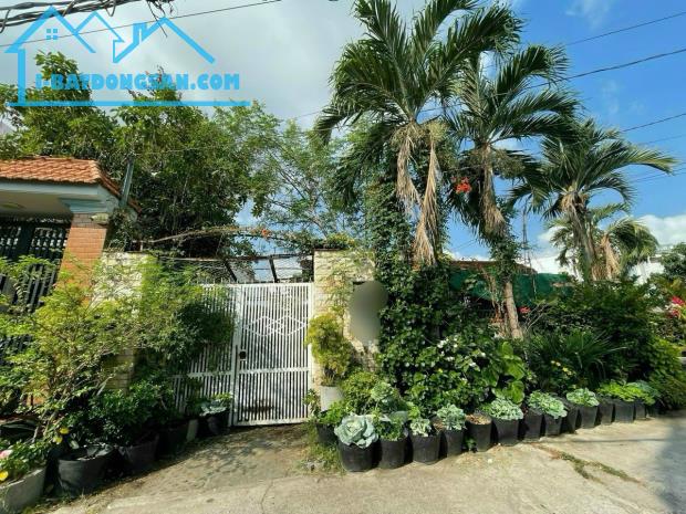 Đất 9,5x24m đường 49 phường Bình Thuận Q7, giá 25 tỷ TL