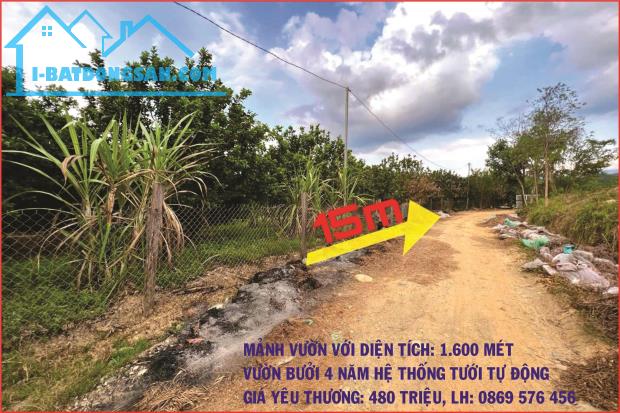 CẦN BÁN MẢNH VƯỜN BƯỞI TẠI XÃ KHÁNH THÀNH, KHÁNH VĨNH, KHÁNH HOÀ - 2