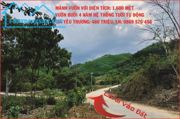 BÁN VƯỜN BƯỞI ĐANG RA TRÁI TẠI KHÁNH THÀNH, KHÁNH VĨNH, KHÁNH HOÀ