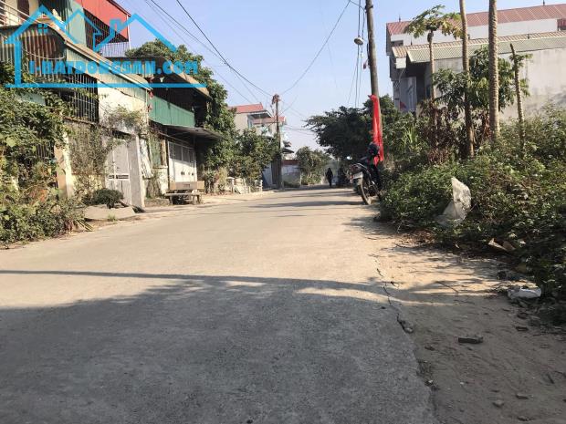🔥🔥ĐÂY RỒI❗️ bán gấp đất 100m2, mặt tiền 5m, đường oto tránh, TDP Đồng Vai, XUÂN MAI - 3