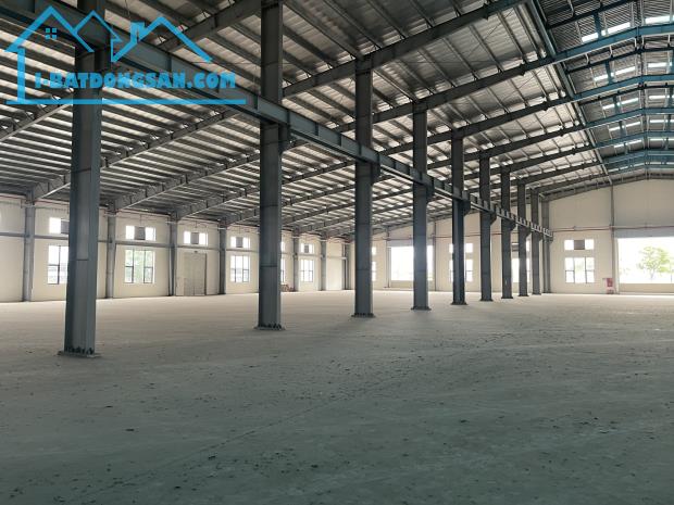 CHO THUÊ KHO XƯỞNG 12500M2 CỤM NHÀ XƯỞNG 5HA LƯƠNG BÌNH, BẾN LỨC, LONG AN - 3