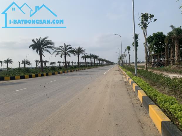 Chuyển nhượng 20.000m2  Khu Công nghiệp Gia Bình 2 - Bắc Ninh - 2