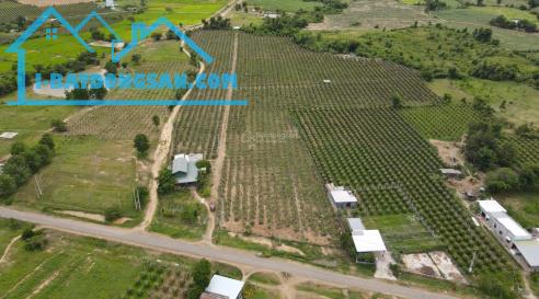 Tổng hợp các lô đất mặt tiền Hòn Dồ giá siêu đầu tư năm 2025 - 1