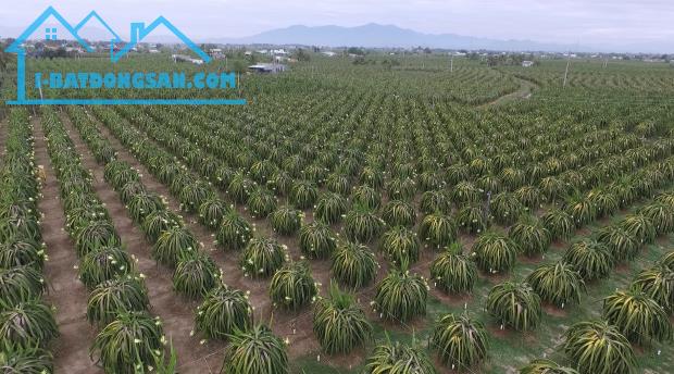 Tổng hợp các lô đất mặt tiền Hòn Dồ giá siêu đầu tư năm 2025 - 3