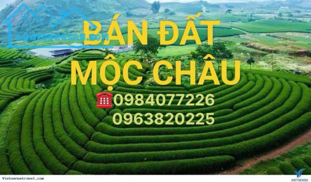 Chỉ 1,5tr/m2. Bán đất nghỉ dưỡng Mộc Châu vị trí vàng, giá siêu tốt! Đất view đẹp - 2