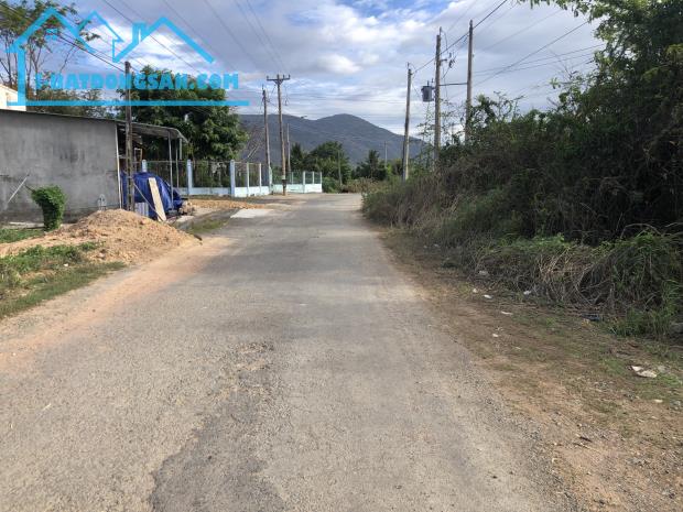 Bán 1 HA đất trống giá ngộp xã Hàm Minh, Huyện Hàm Thuận Nam, Bình Thuận - 3