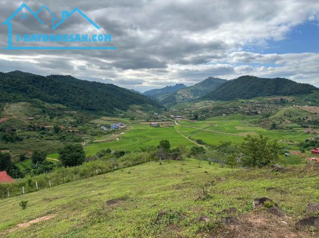 Bán đất nghỉ dưỡng 5000m2 view đồi chè xanh mát, tiềm năng homestay - 2