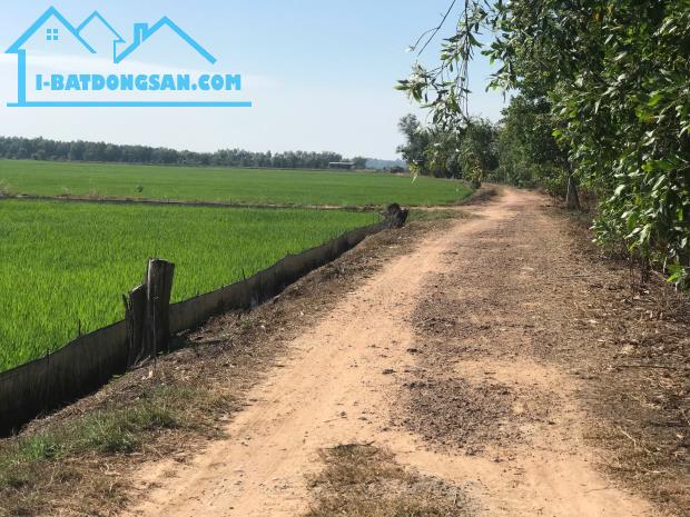 Bán đất 1.4 tỷ, 56m x 101m 2 mặt tiền đường QL 22B , xã an bình, huyện châu thành