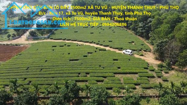 CHÍNH CHỦ CẦN BÁN LÔ ĐẤT 7500m2 XÃ TU VŨ - HUYỆN THANH THUỶ - PHÚ THỌ