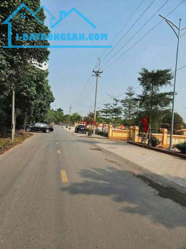 Chính chủ. Cô Xuyến nhờ bán lô đất 50m2 ô tô thông kinh doanh. VẠN PH, Thanh Trì, HN. GẤP - 2
