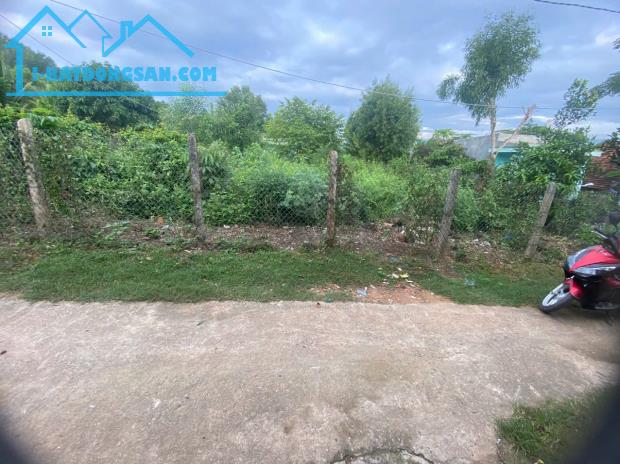Bán đất phường Ninh Đa Ninh Hoà thôn Hà Thanh Ninh Đa - 4