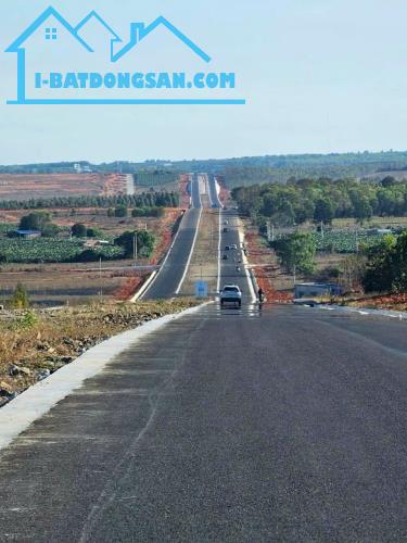 Bán 3.6HA Thanh Long, làm nông cây trồng trang trại xã Tiến Thành, Thành Phố Phan Thiết - 1