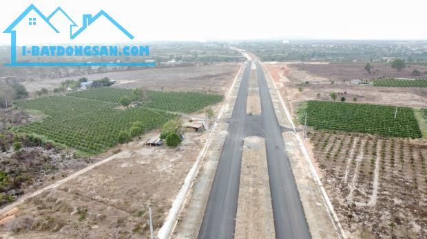 Bán 3.6HA Thanh Long, làm nông cây trồng trang trại xã Tiến Thành, Thành Phố Phan Thiết - 2