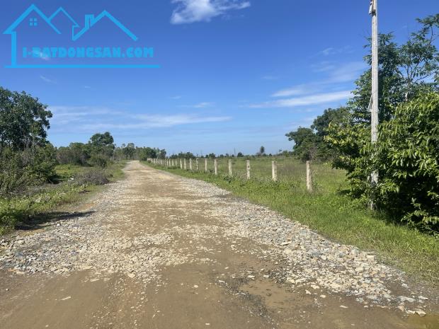 Bán 3.6HA Thanh Long, làm nông cây trồng trang trại xã Tiến Thành, Thành Phố Phan Thiết - 3